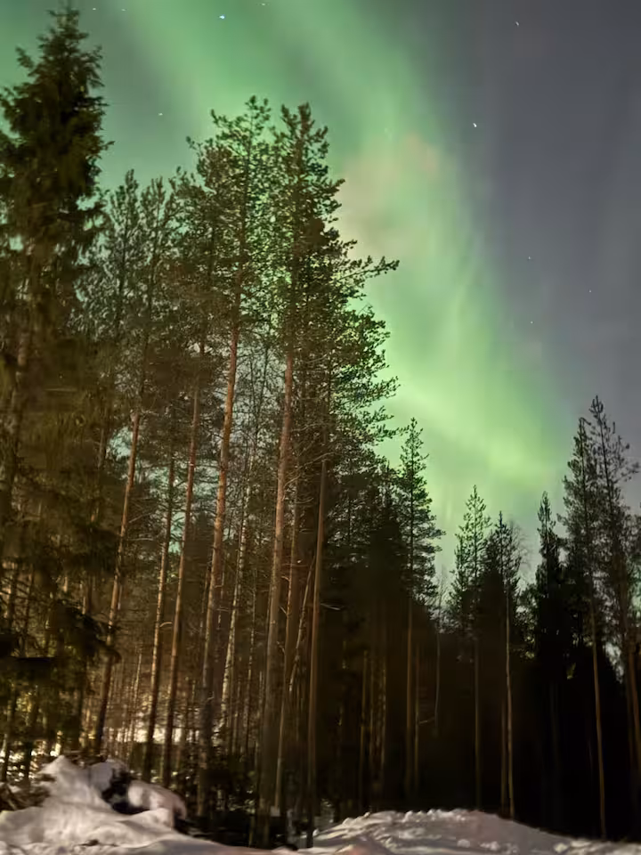 Rovaniemi City Duplex — Rovaniemi · Finland (7 of 7)